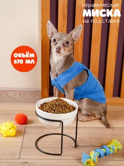 Миска для кошки и собаки на подставке Glad Pet 146786140 купить за 709 ₽ в интернет-магазине Wildberries